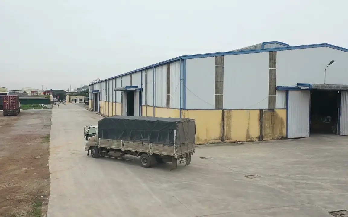 Xuất khẩu gạo Việt Nam: cơ hội từ thị trường cao cấp